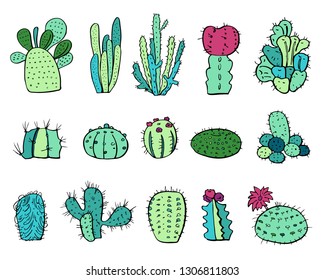 Cactus plants set. Vector colorful hand drawn outline sketch illustration isolated on white background
