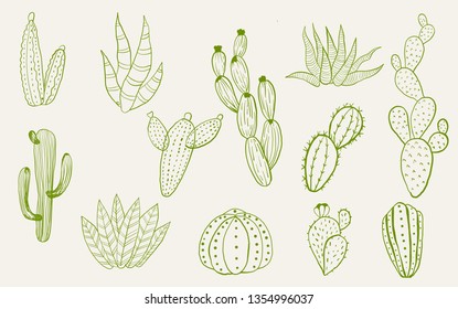Cactus plants set. Vector colorful hand drawn outline sketch illustration isolated on white background