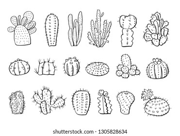 Cactus plants set. Vector hand drawn outline sketch illustration isolated on white background