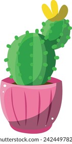 Cactus plants set vector with yellw flower in pink pot. Succulent vector illustration isolated on white background