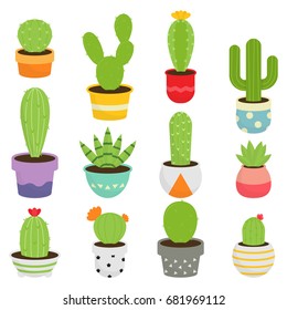 Cactus Plants And Succulents