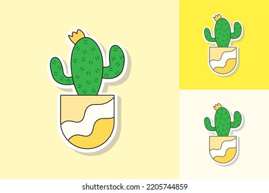 cactus plants with various background colors
