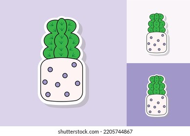 plantas de cactus con varios colores de fondo