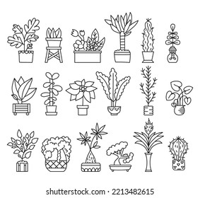 Cactus and plants vector illustration set