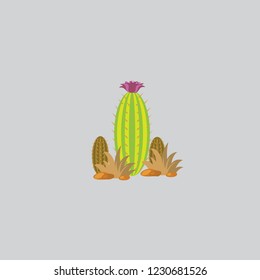 Cactus plant.Vector illustration isolated on gray background.