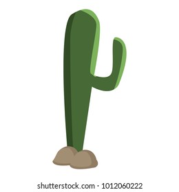 Cactus plat isolated