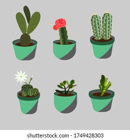 Los cactus y las plantas interiores populares son elementos aislados de la colección vectorial. Ilustración del vector