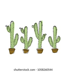 cactus in a pot 