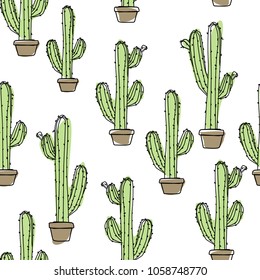 cactus in a pot 