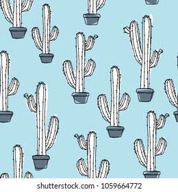cactus in a pot 