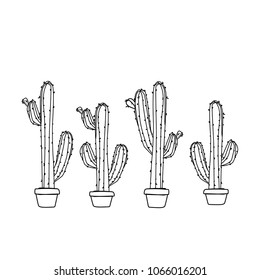 cactus in a pot 