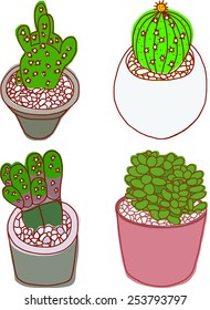 Cactus Pot