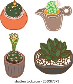 Cactus Pot