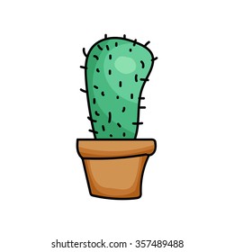 cactus in a pot