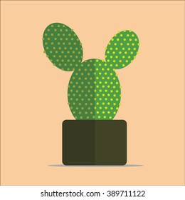 cactus in the pot