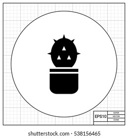 Cactus in pot