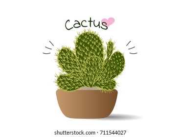 cactus in a pot