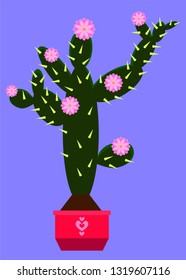 Cactus in pot with blossoms, flat design. Vector illustration