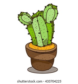 Cactus in a pot colored illustration, plants logo on a white background.