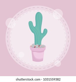cactus in pot design