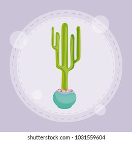 cactus in pot design