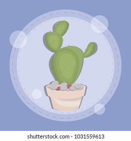 cactus in pot design