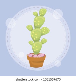 cactus in pot design