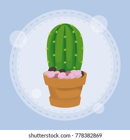 cactus in pot design