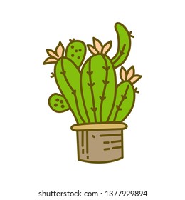 Cactus Pot Design Illustration Template Vector