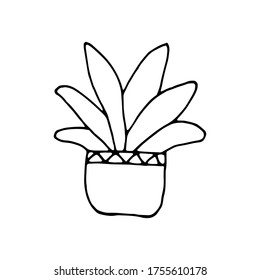 Cactus in pot in doodle cartoon style isolated on white background. Vector outline potted plant collection.  Print t shirt.