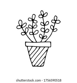 Cactus in pot in doodle cartoon style isolated on white background. Vector outline potted plant collection.  Print t shirt.