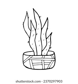 Cactus en una olla en forma de doodle sobre un fondo blanco aislado.Ilustración vectorial.