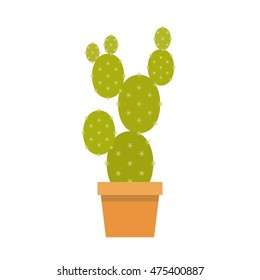 cactus in pot, flat design vector