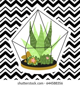 cactus in pot, flat design vector illustration