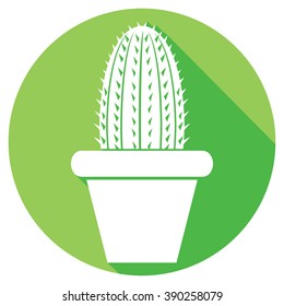 cactus in a pot flat icon