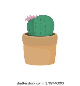 Cactus in pot flat illustration.  House plant vector art. 