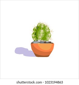Cactus in a pot. Flowering houseplant. Vector isolated illustration on white background.

