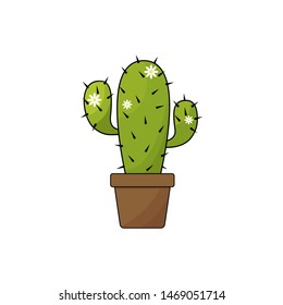 cactus in pot with flowers isolated on white background, flat design vector illustration