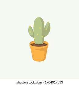 Cactus in a pot with green background