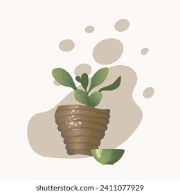 A cactus in a pot and a green plate Vector