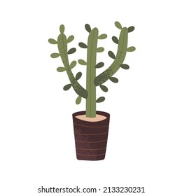 Cactus in pot. Green prickly house plant growing in planter. Tropical houseplant. Home and office interior decoration. Natural indoor decor. Flat vector illustration isolated on white background
