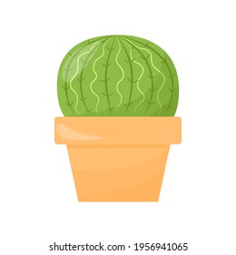 Cactus in a pot. A green succulent. Flat cartoon illustration isolated on a white background.