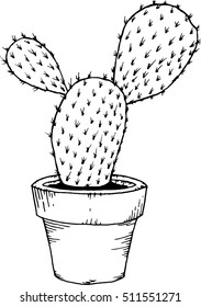 Cactus in pot . Hand drawn cactus in a pot, floral houseplant. Vector illustration cactus.