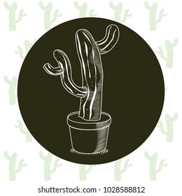 Cactus in pot hand drawn round icon