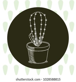 Cactus in pot hand drawn round icon