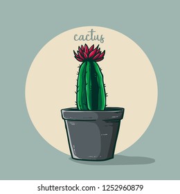 cactus pot handdraw illustration