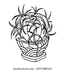 Cactus in a pot. A hand-drawn image of a houseplant isolated from the background. Vector image of a cactus.