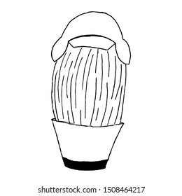 Cactus in a pot with a hat