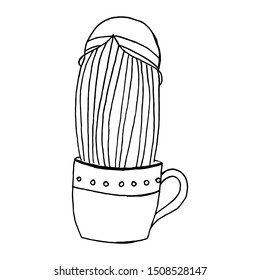 Cactus in a pot with a hat