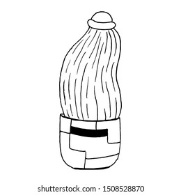 Cactus in a pot with a hat
